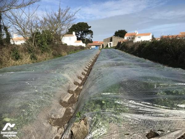 NOIRMOUTIER, LA MADELEINE A DEUX PAS DE LA MER