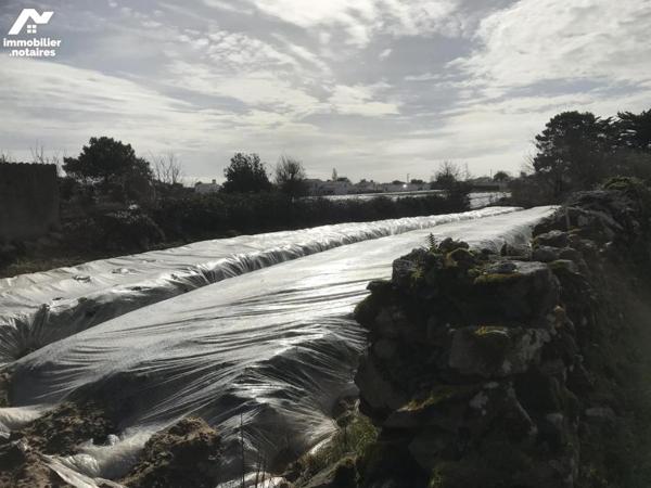 NOIRMOUTIER, LA MADELEINE A DEUX PAS DE LA MER
