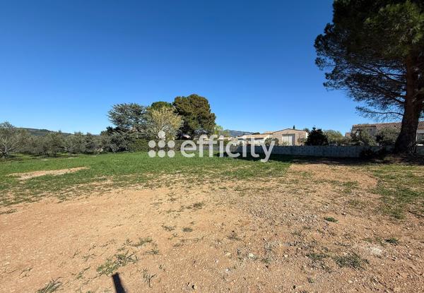 Terrain - 779 m²