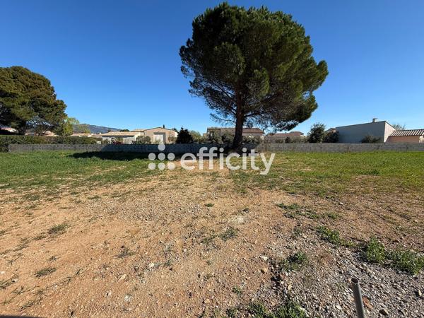 Terrain - 779 m²