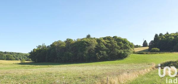 Terrain à vendre 3 002 m² Palazinges