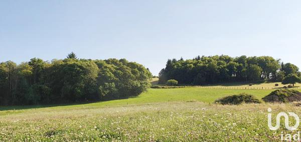 Terrain à vendre 3 002 m² Palazinges