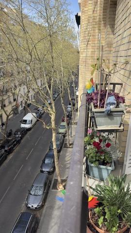 Appartement 2 pièces - 42 m² Exclusivité efficity