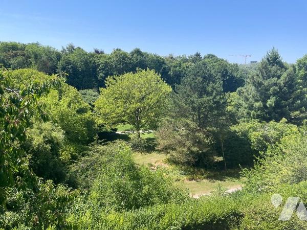 Vente - Maison individuelle