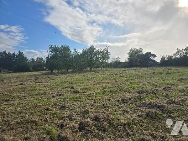 Terrain a bâtir de 4399 m2 proche du Bourg