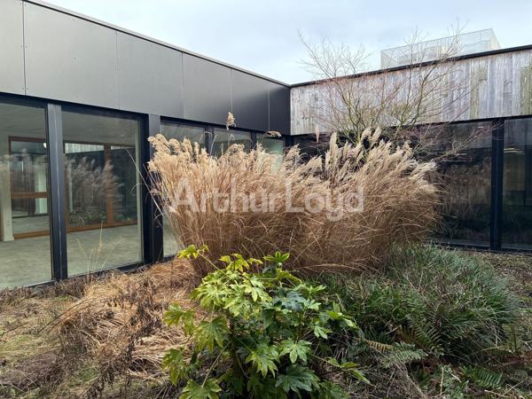 Bureaux à louer à Villeneuve-d'Ascq dans immeuble bois lumineux et modulable