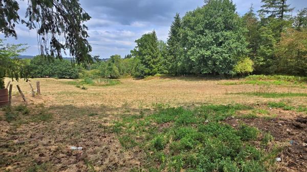 GRANGE 2 PIECES + TERRAIN AGRICOLE ~ 1.4Ha AVEC PECHERIE - ENVIRONNEMENT CALME ET CAMPAGNE