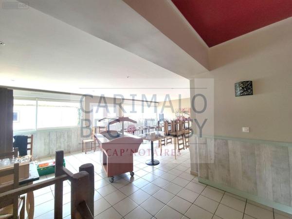 Local mixte (Professionnel/Habitation) à vendre à La Chapelle-du-Noyer dans l'Eure-et-Loir (28200), ref : RC/926