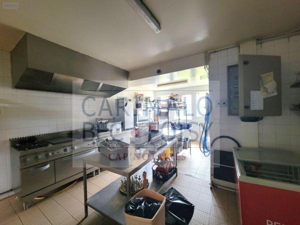 Local mixte (Professionnel/Habitation) à vendre à La Chapelle-du-Noyer dans l'Eure-et-Loir (28200), ref : RC/926