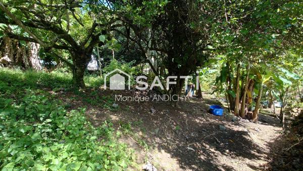 Vivre au vert tout en restant proche de la ville