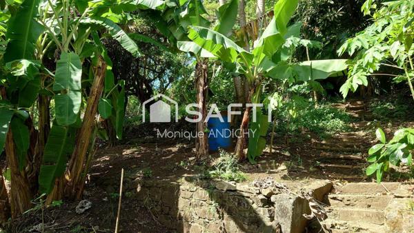 Vivre au vert tout en restant proche de la ville