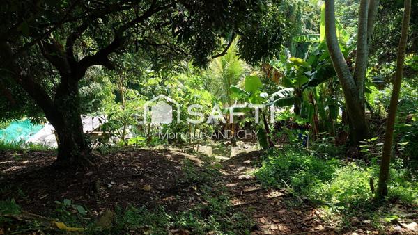 Vivre au vert tout en restant proche de la ville