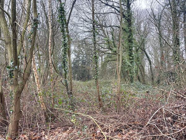 Achat terrain Lantic - 139 750 €