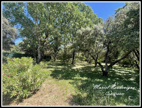 Charme, volumes et confort – Belle demeure familiale avec piscine UCHAUX (84) - 8 pièces, environ 212 m2