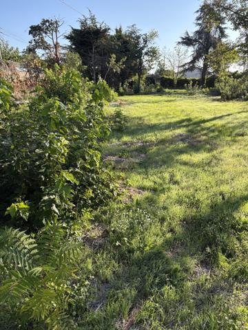 Superbe Parcelle arboré