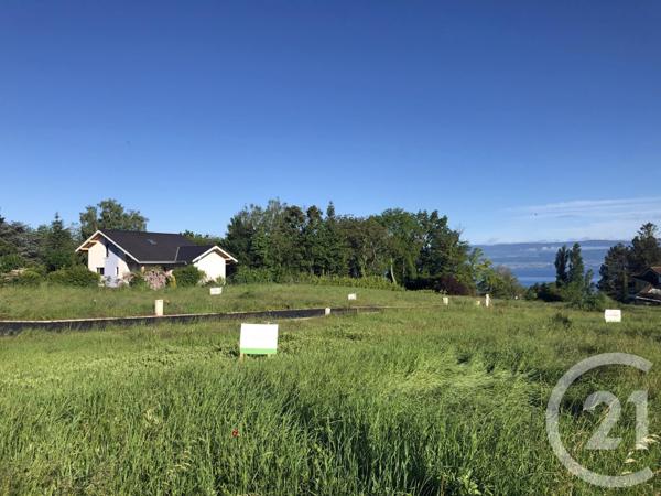 terrain à vendre  711 m2 ANTHY SUR LEMAN - 74