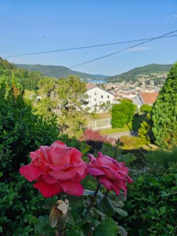 Gérardmer - Chalet pièce de vie vue lac, 4 chambres, 2 garages  151 m²  DPE C