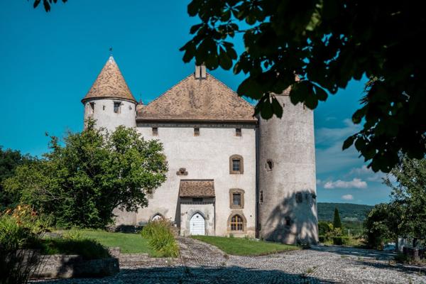 Vente Château Lully 19 Pièces 1204 m²