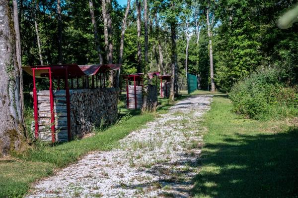 Vente Château Lully 19 Pièces 1204 m²