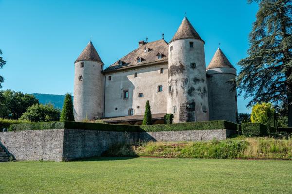 Vente Château Lully 19 Pièces 1204 m²