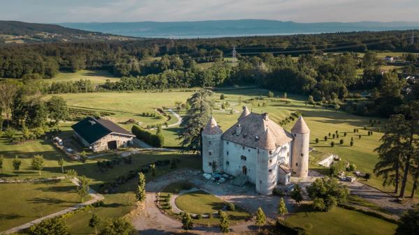 Vente Château Lully 19 Pièces 1204 m²
