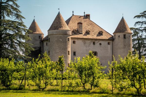 Vente Château Lully 19 Pièces 1204 m²