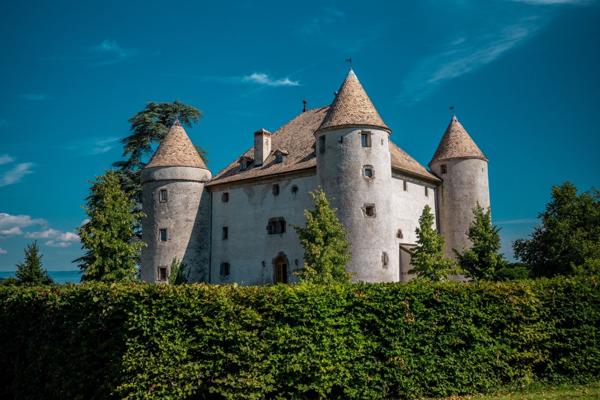Vente Château Lully 19 Pièces 1204 m²