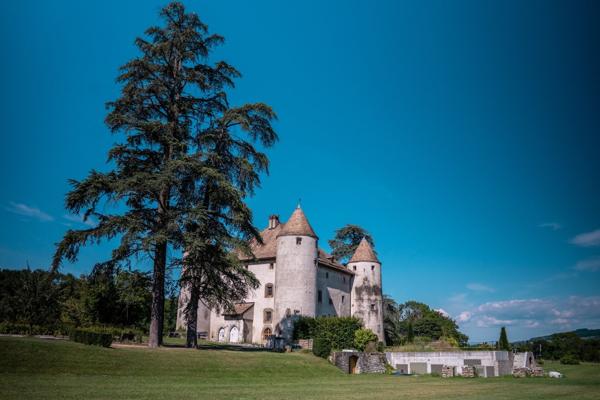 Vente Château Lully 19 Pièces 1204 m²
