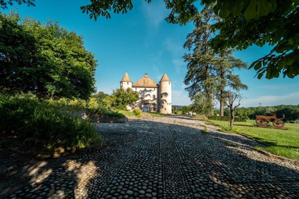 Vente Château Lully 19 Pièces 1204 m²