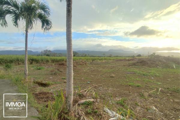 TERRAIN BRAS PANON 97412