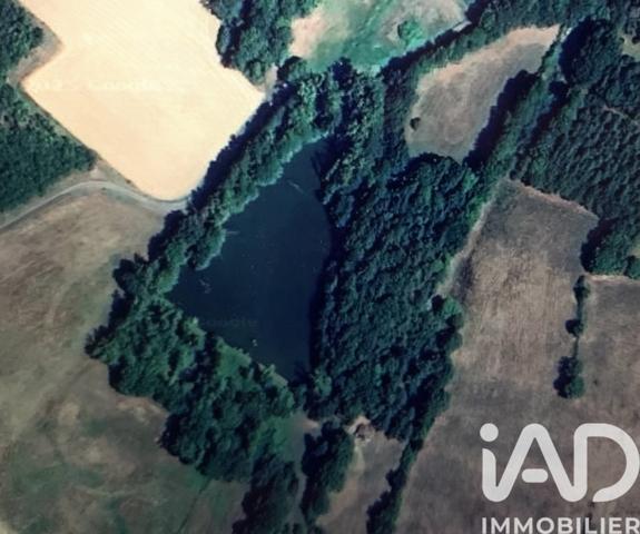 Terrain à vendre 39 730 m² Chaillac-sur-Vienne