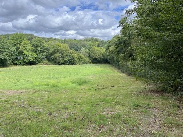 Terrain à vendre |  Saint-Bonnet-la-Rivière |  12198 m²