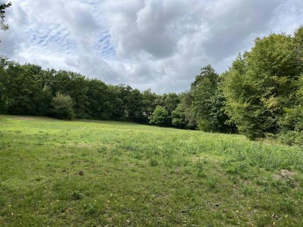 Terrain à vendre |  Saint-Bonnet-la-Rivière |  12198 m²