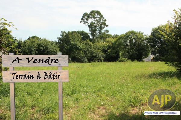 Vente terrain L Aiguillon Sur Vie : 79 000 € - AJP Immobilier Vieillevigne