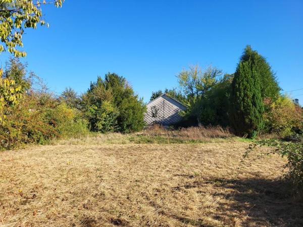 Terrain à Batir à vendre à Bussière-Dunoise en Creuse (23320), ref : 1172