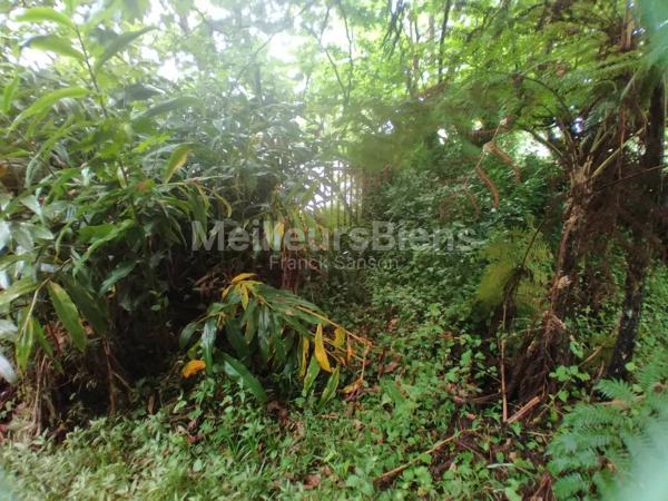 Terrain plat constructible de 4145 m²(zone Ub, cos 0,50), idéalement situé au 1er village . Plaine des Palmistes. 125€.m²