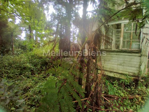 Terrain plat constructible de 4145 m²(zone Ub, cos 0,50), idéalement situé au 1er village . Plaine des Palmistes. 125€.m²