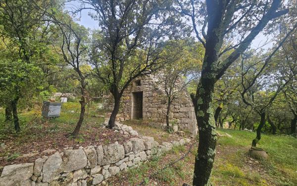 Maison à vendre    2 pièces •  Sommières