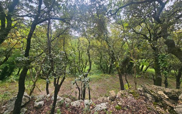 Maison à vendre    2 pièces •  Sommières