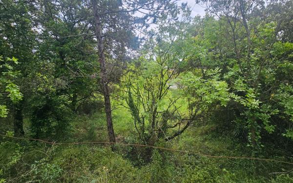 Maison à vendre    2 pièces •  Sommières