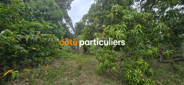 Vente
                Appartement36 m² - 2 Pièces -
                    SAINTE ANNE (97180)