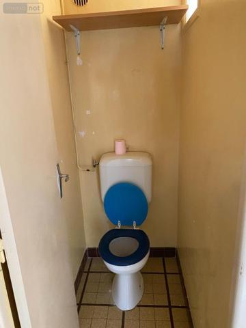 Maison à vendre à Bessé-sur-Braye dans la Sarthe (72310), ref : 41059-866