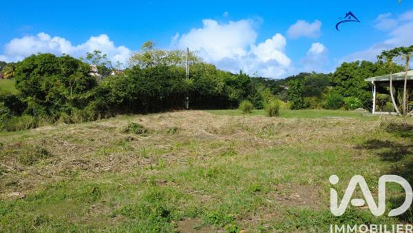 Terrain à vendre 1 241 m² Le Vauclin