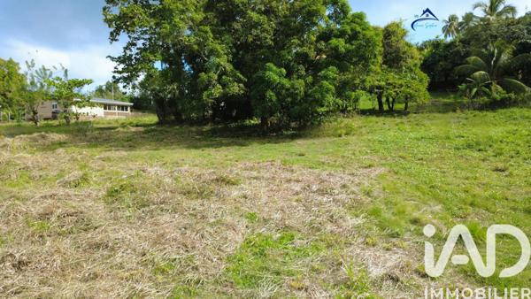 Terrain à vendre 1 241 m² Le Vauclin