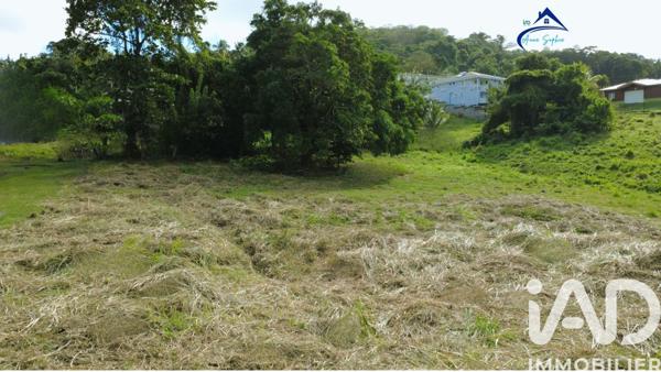 Terrain à vendre 1 241 m² Le Vauclin