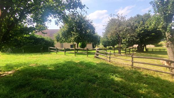 Superbe maison, dépendances, 6000m² de terrain