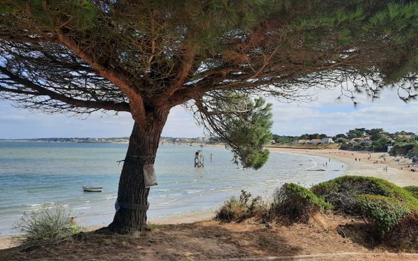 Maison de pêcheur à proximité de la plage du Cormier