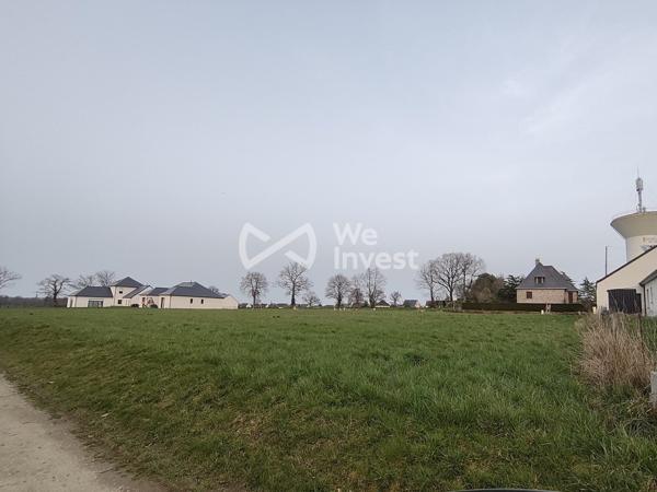 grand terrain constructible