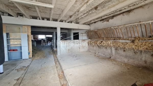 Une Ferme mitoyenne avec une belle partie habitable rénovée de 130 m2 et ses grandes dépendances.