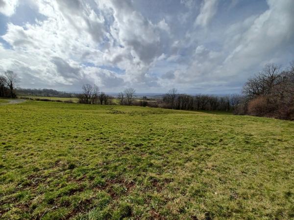 Terrain constructible de 3000m² en vente 69500 € à Chalvignac Détails des diagnostics énergétiques